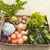 Le Bon Maché : Légumes Bio - Vente directe