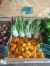 Le Bon Maché : Légumes Bio - Vente directe