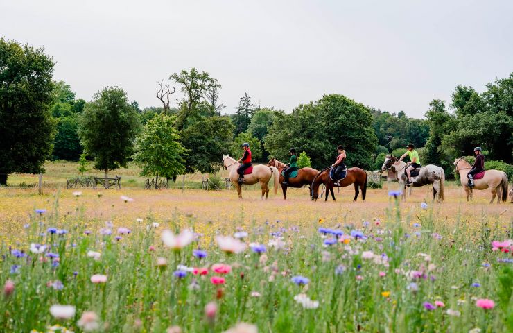 Centre Équestre de La Garangeoire