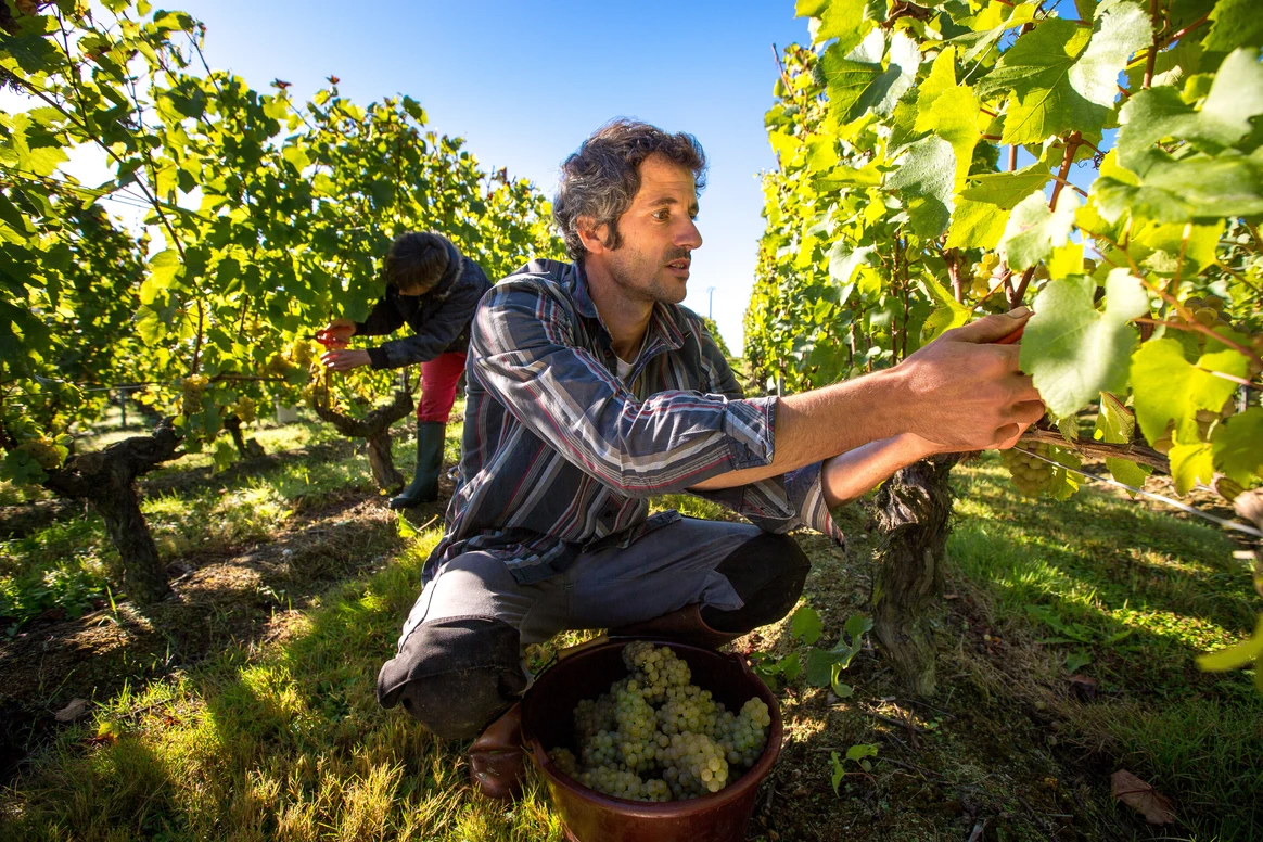 Domaine de la Barbinière