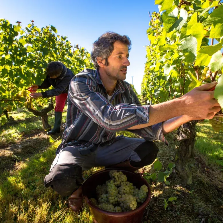 Domaine de la Barbinière