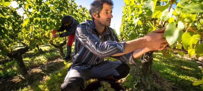 Domaine de la Barbinière