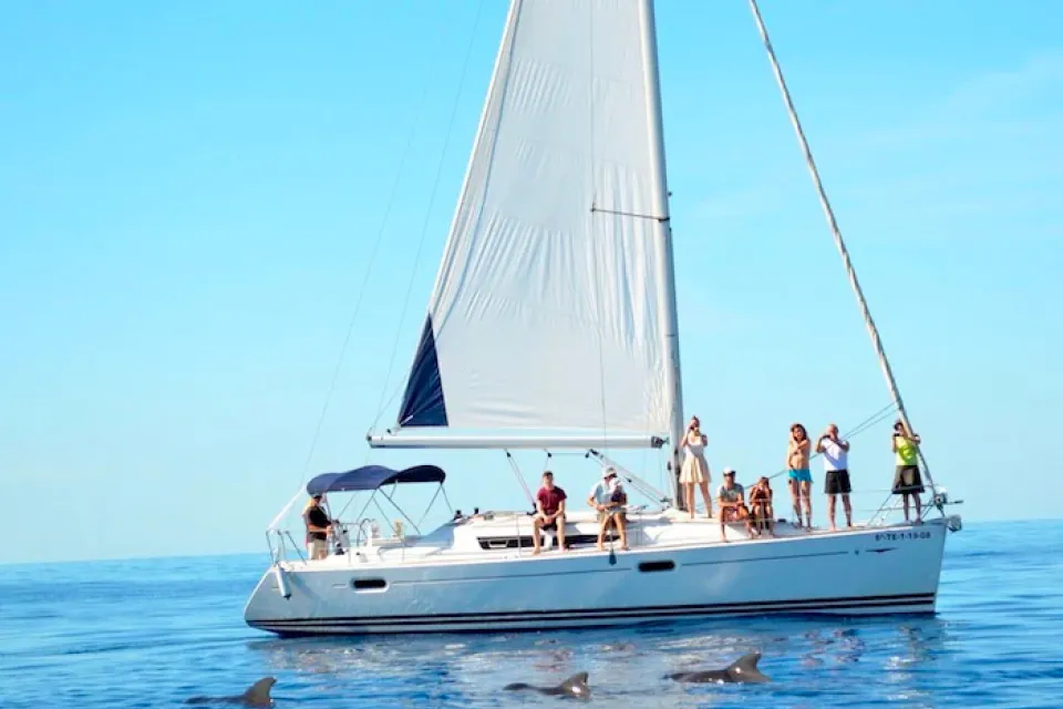 Roze Marine