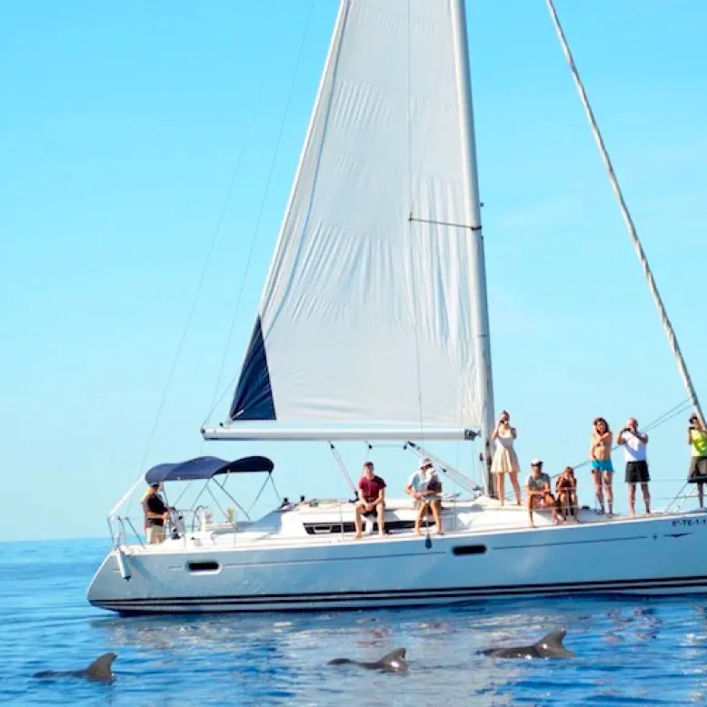 Roze Marine