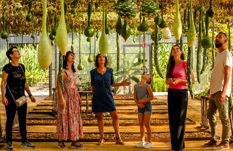 Le Potager Extraordinaire