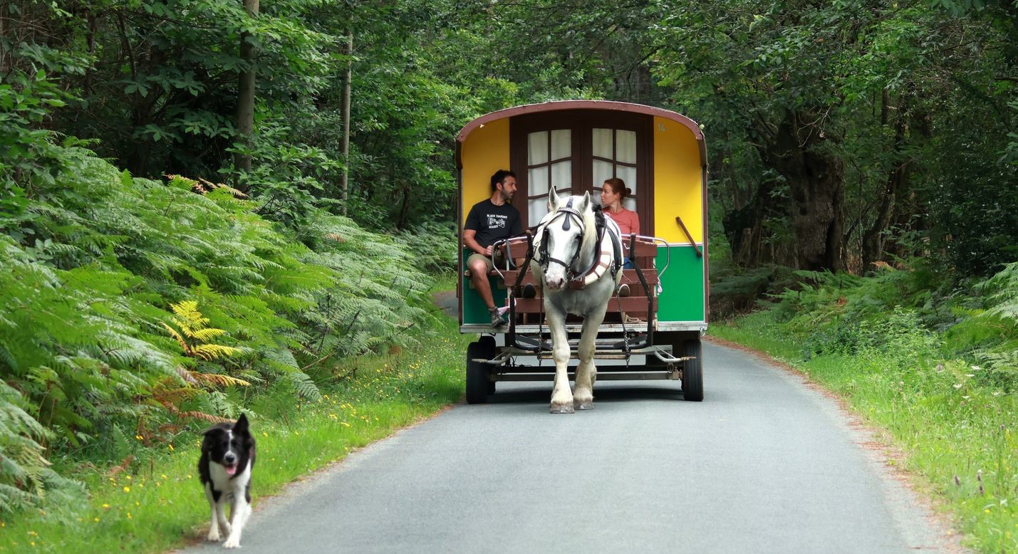 Les Roulottes du Sud Vendée