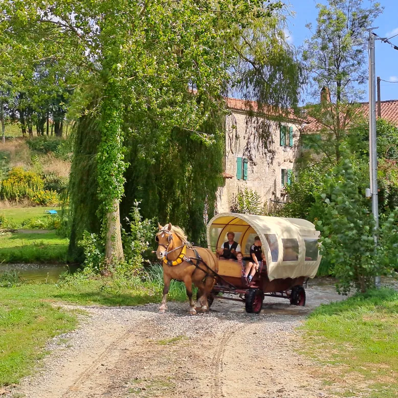 Les Roulottes du Sud Vendée
