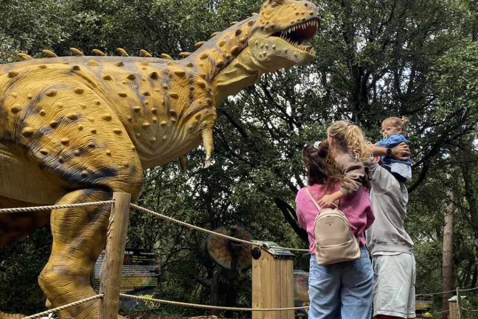 Dino's Park