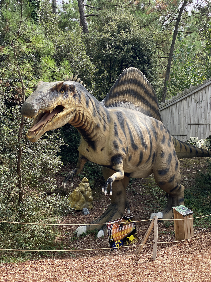 Dino's Park