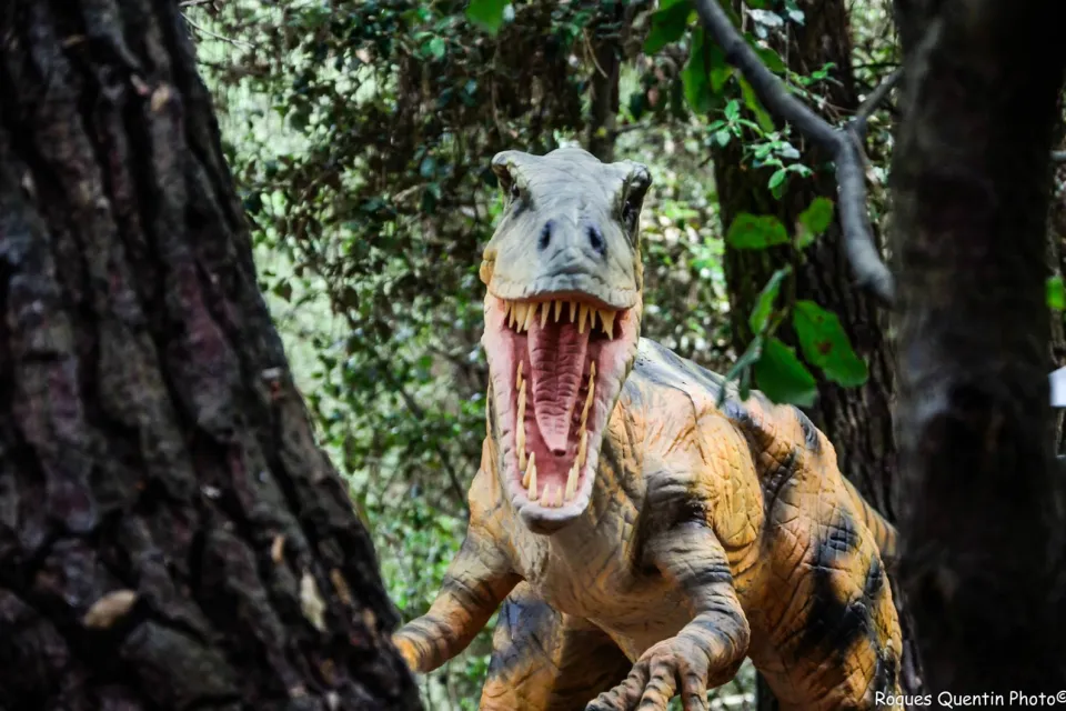 Dino's Park