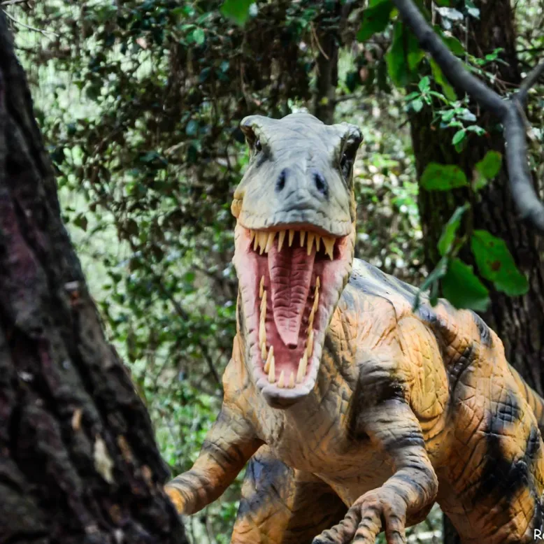Dino's Park