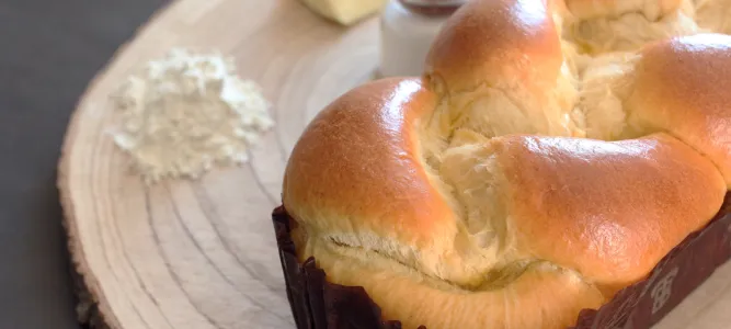 Thomas Brioche