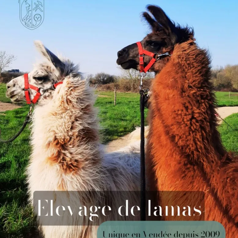 Le Fief Guibert