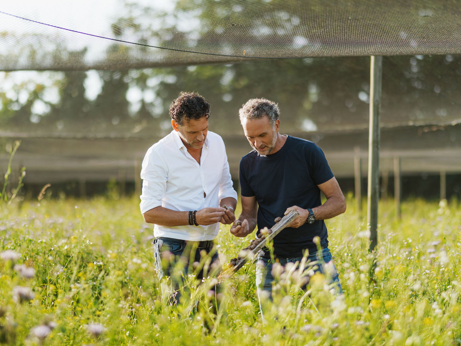 Maison Royer & RoyeR Cosmétique