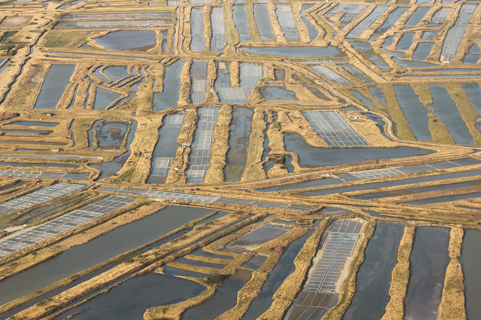 Coopérative des Producteurs de sel de l’Ouest
