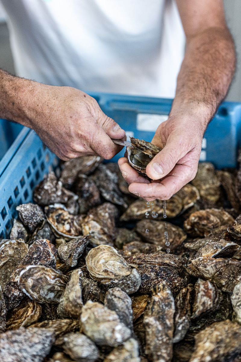 L’ostréiculture à Bouin