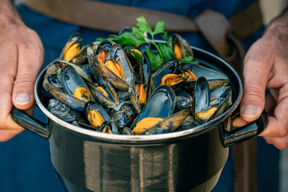 Huîtres et moules