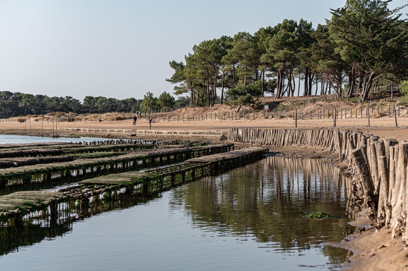 Les Huîtres de Vendée