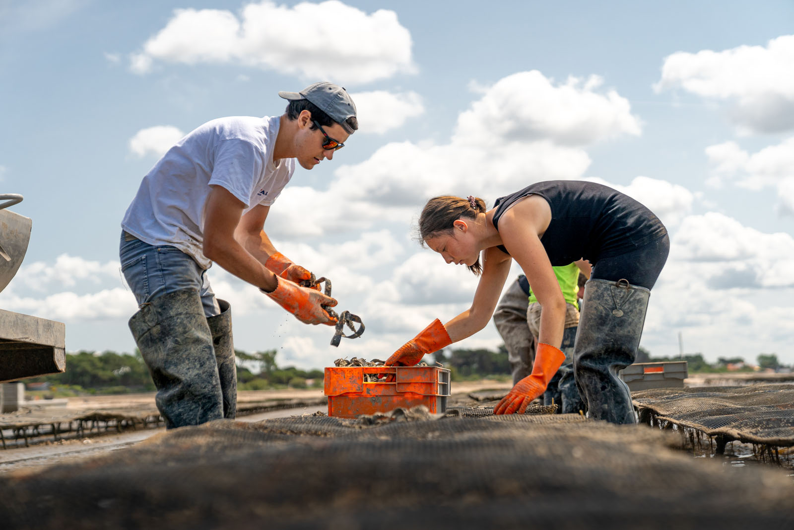 Les Huîtres de La Barre-de-Monts