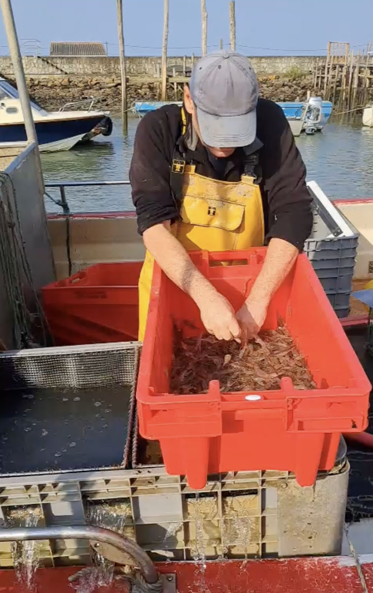 La Pêche Côtière