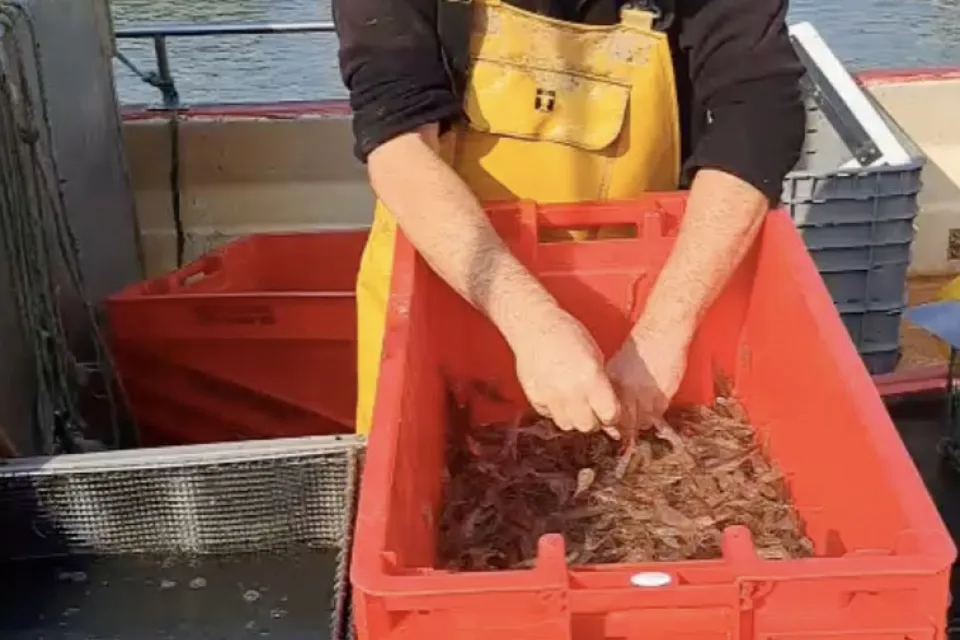 La Pêche Côtière