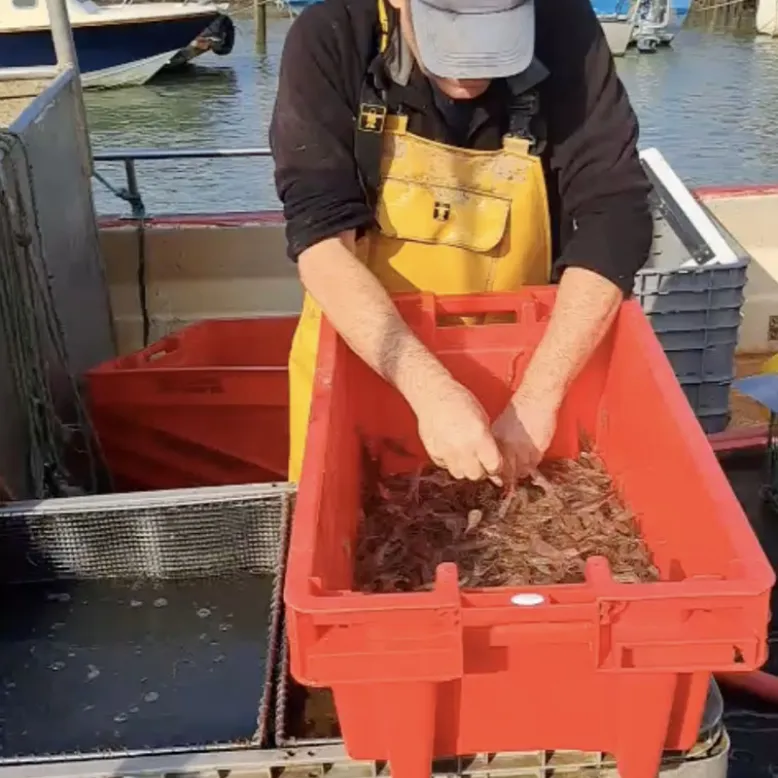 La Pêche Côtière