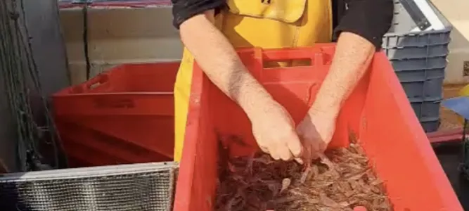 La Pêche Côtière