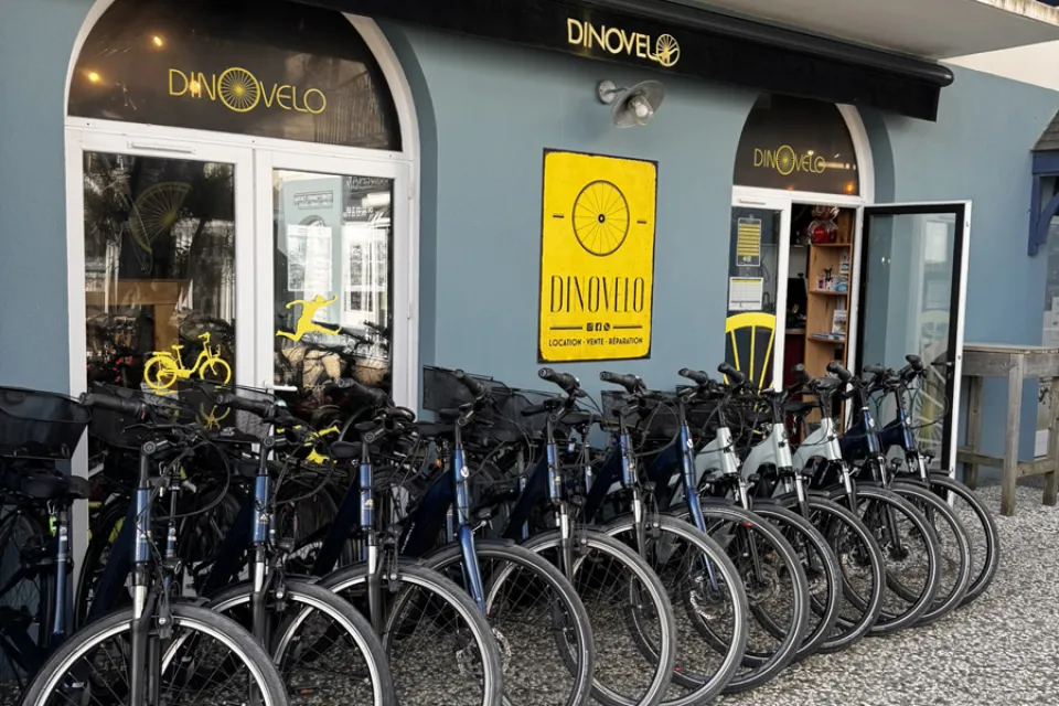 Dinovelo