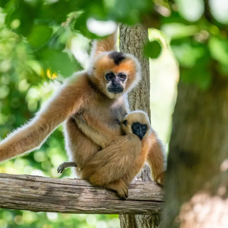 Zoo des Sables d'Olonne