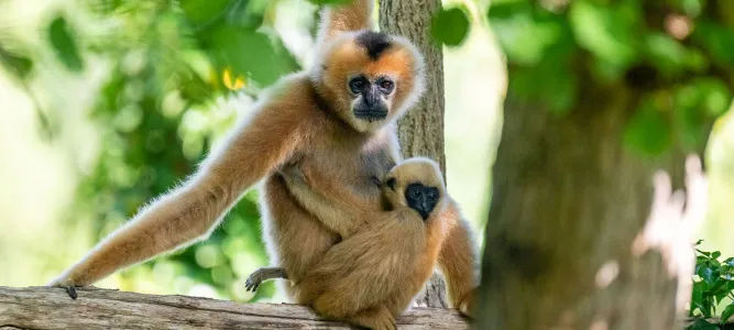 Zoo des Sables d'Olonne