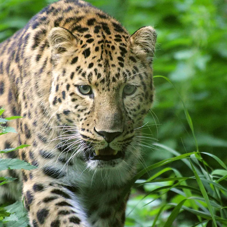 Zoo des Sables d'Olonne