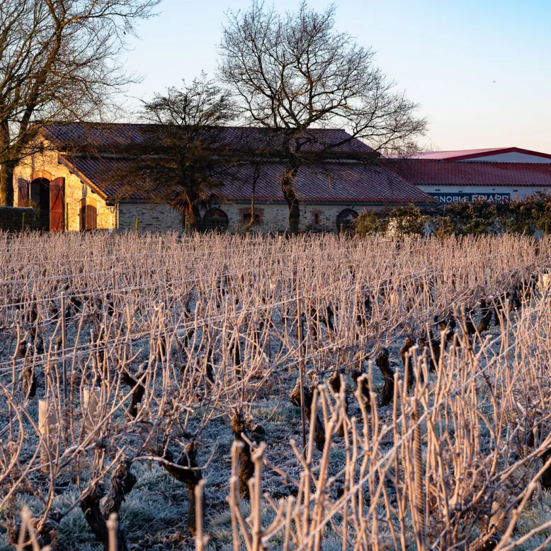 Vignoble Epiard