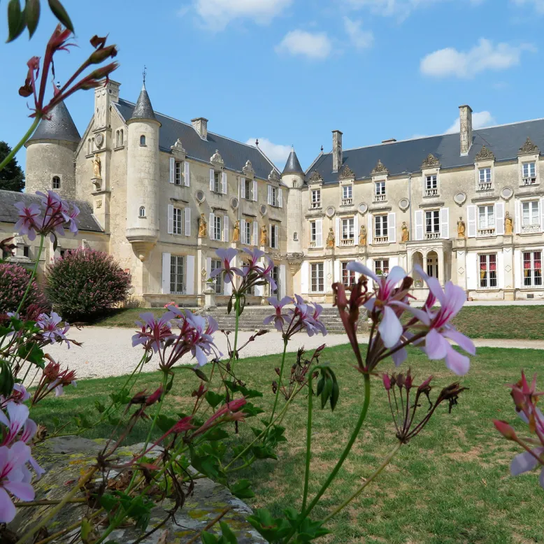 Castle of Terre-Neuve