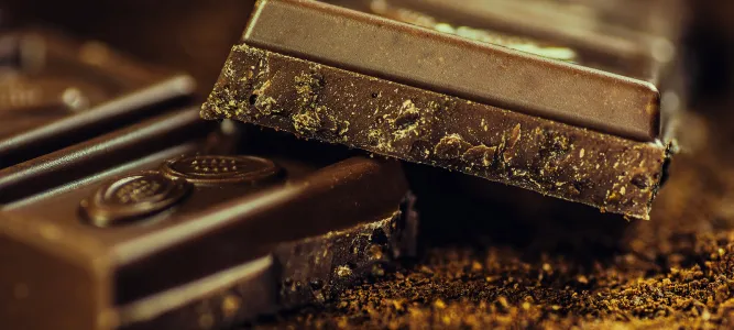 Musée du chocolat