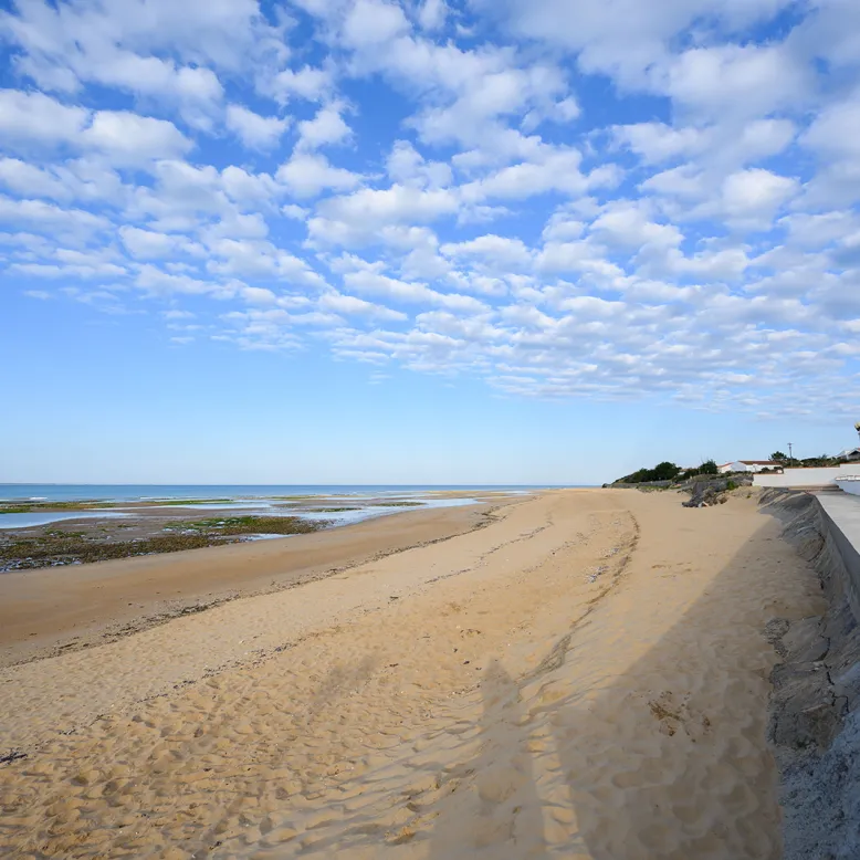 PLAGE CENTRALE