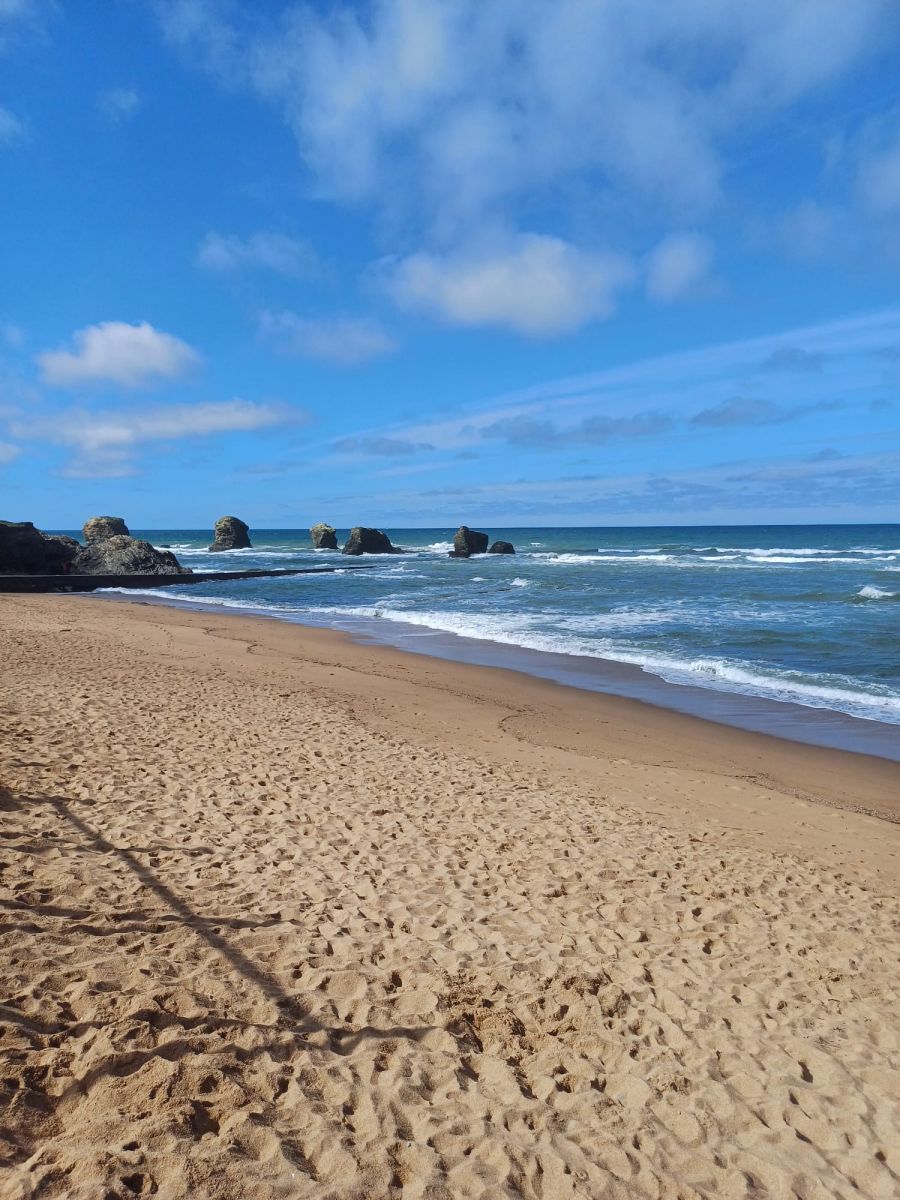 PLAGE DES CINQ PINEAUX