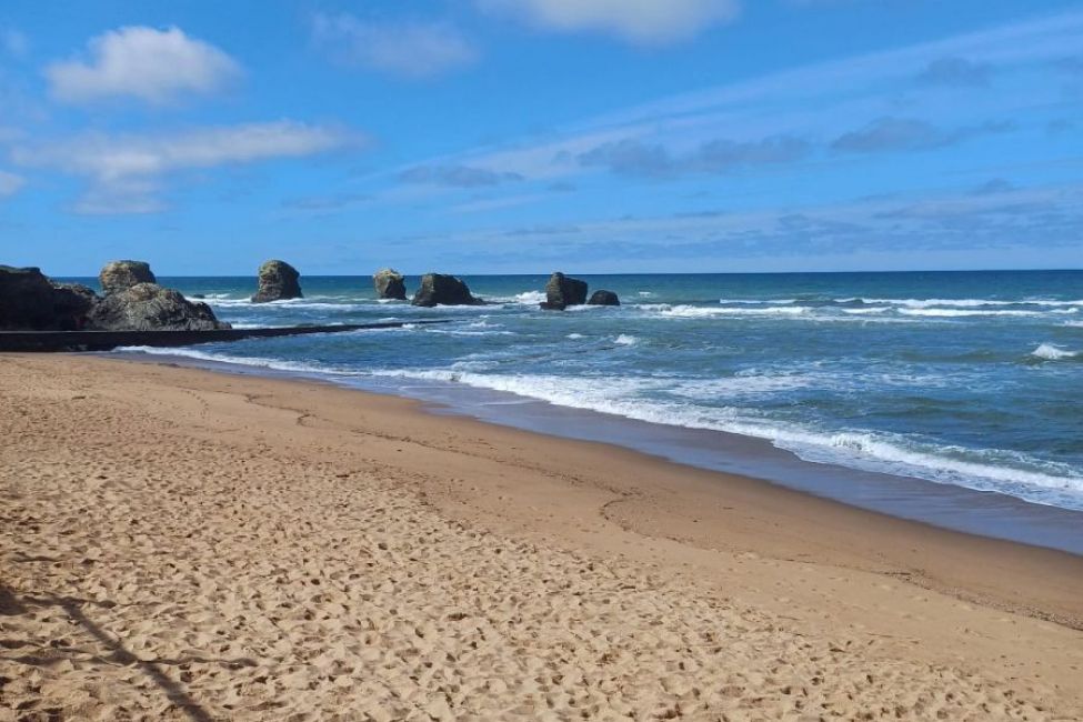 https://www.guide-de-la-vendee.com/_bibli/annonces/595/hd/plage-5-pineaux-2024-05-31-at-15.21.18.jpg?height=275&pixelRatio=2.6250&v=ficheAnnonce&width=412