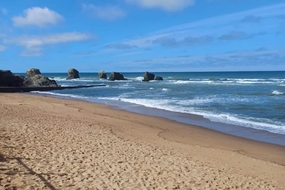 PLAGE DES CINQ PINEAUX