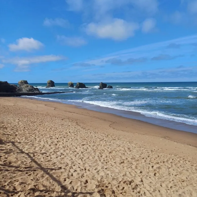 PLAGE DES CINQ PINEAUX