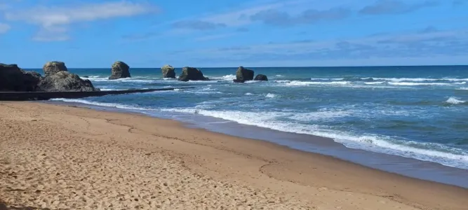 PLAGE DES CINQ PINEAUX