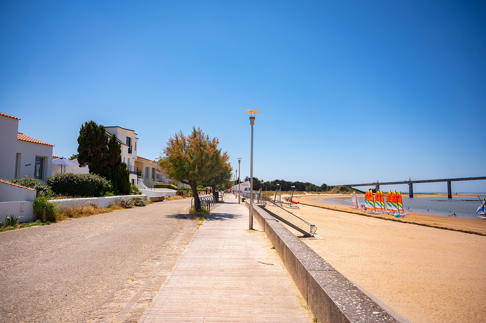 PLAGE DE FROMENTINE