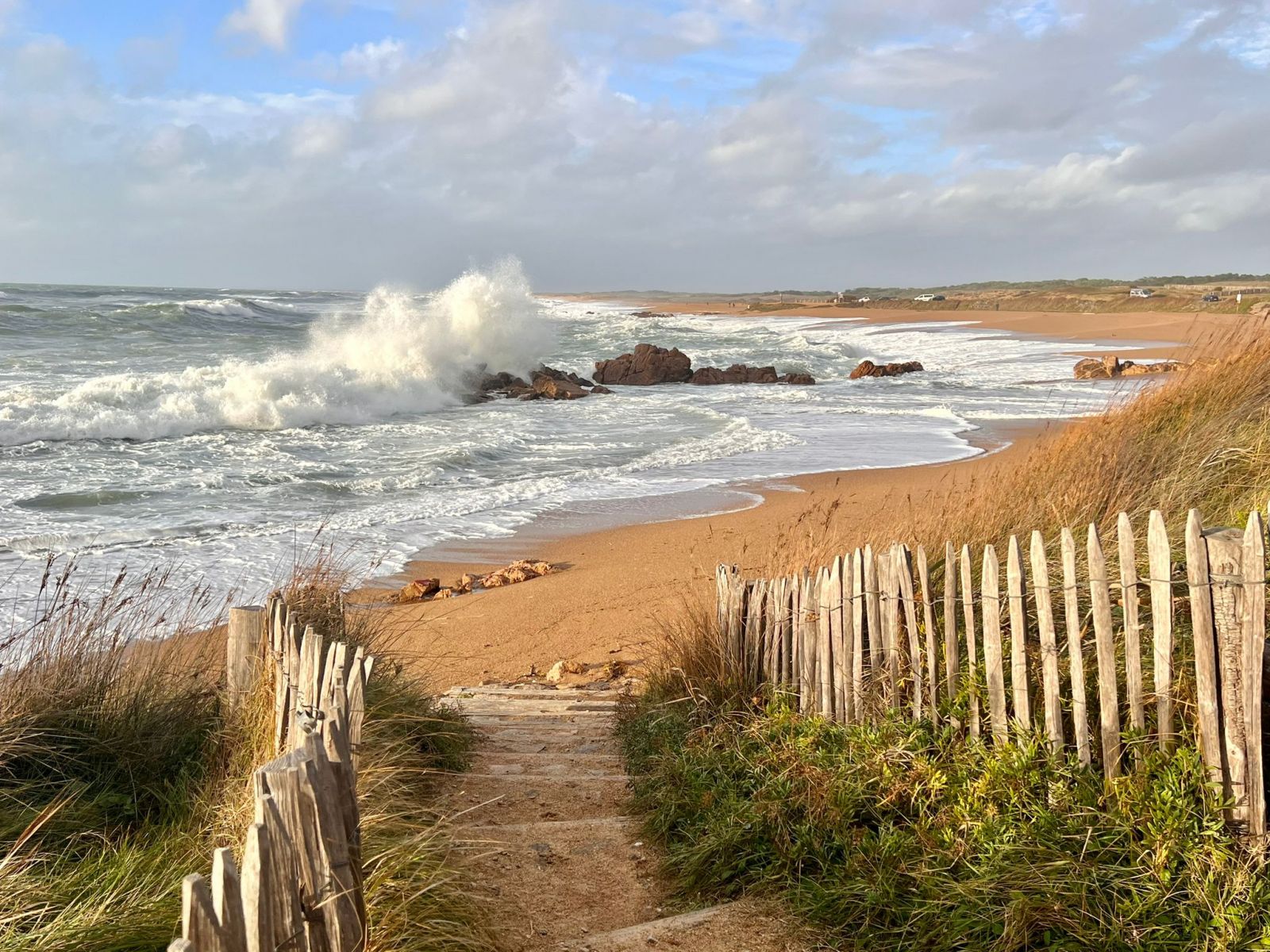 Plage La Paracou