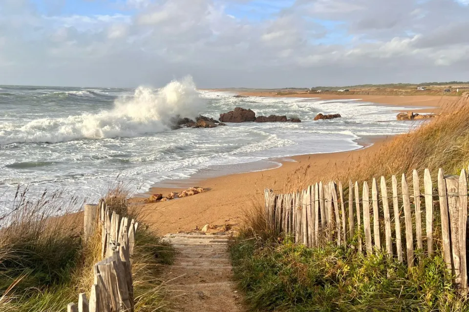 Plage La Paracou