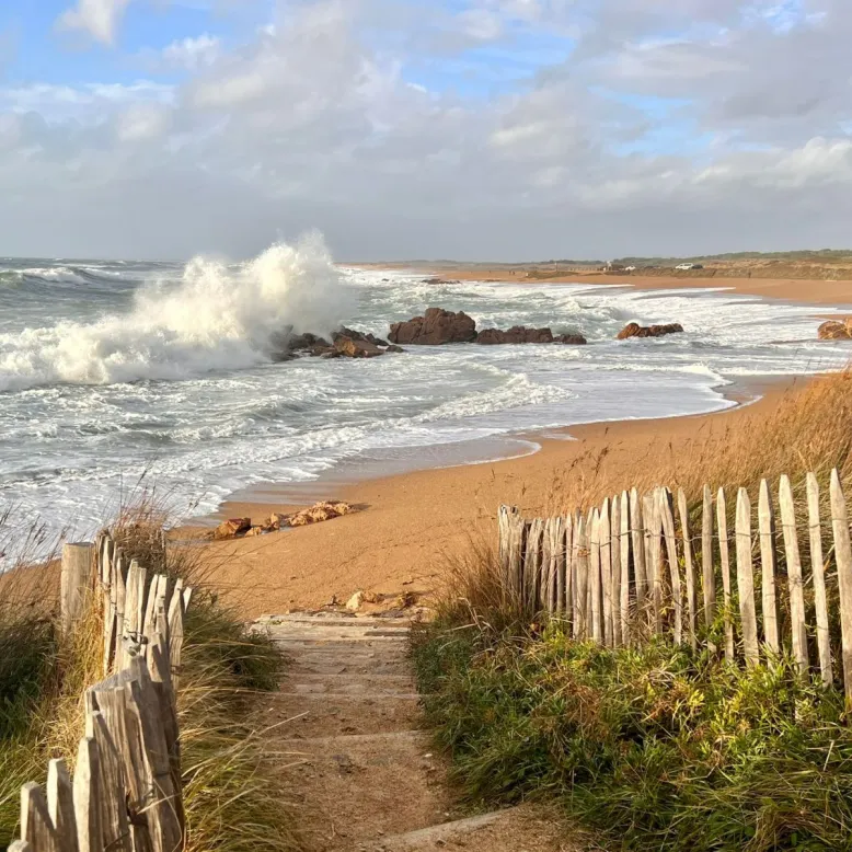 Plage La Paracou