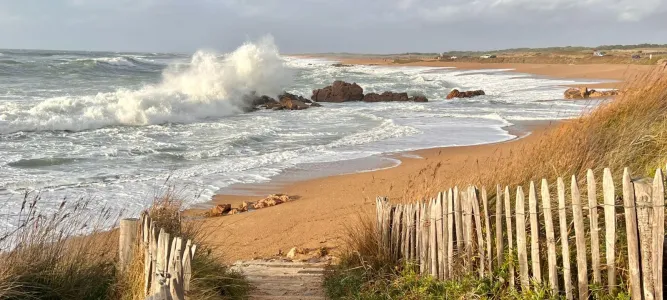 Plage La Paracou