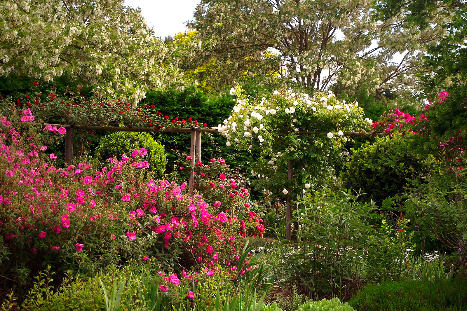 The Rigonneries Garden