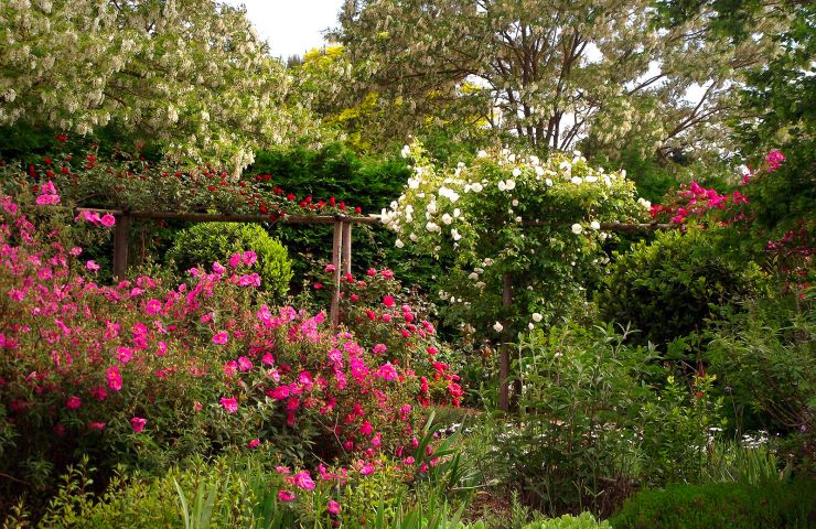 The Rigonneries Garden