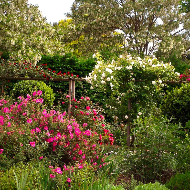 The Rigonneries Garden