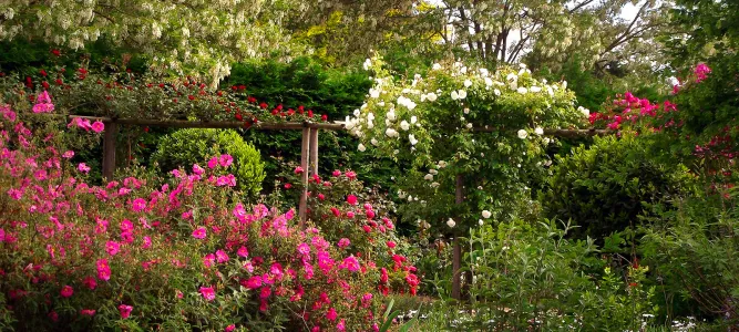 The Rigonneries Garden
