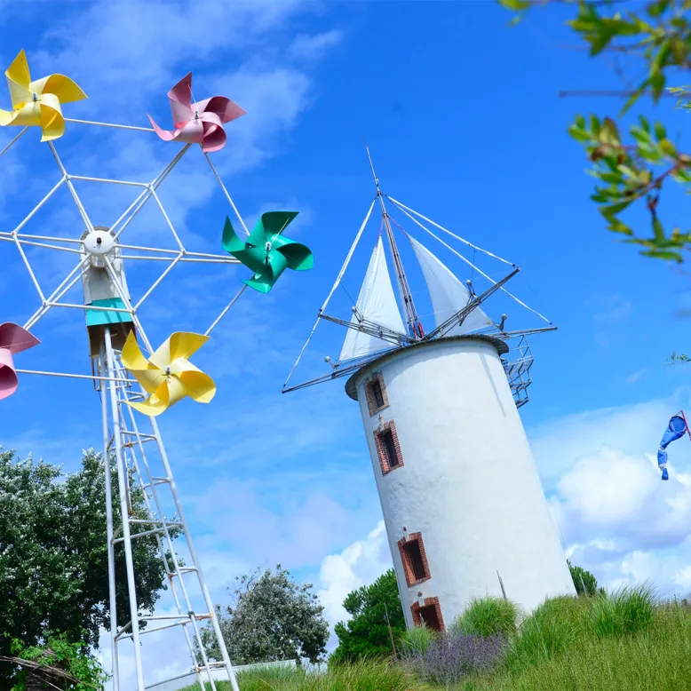 Wind Garden